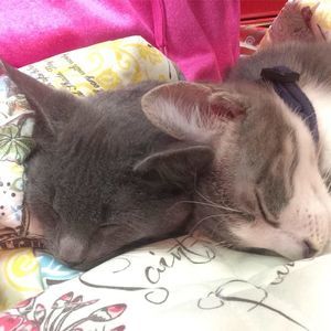 Meet your Posher, Tammy